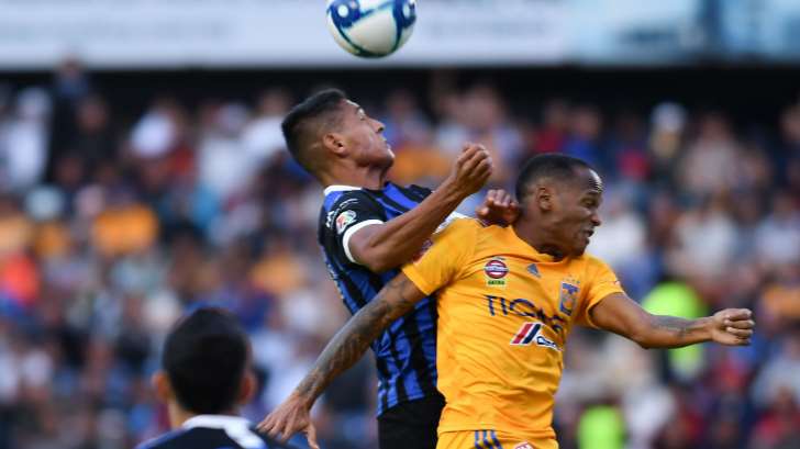 Tigres