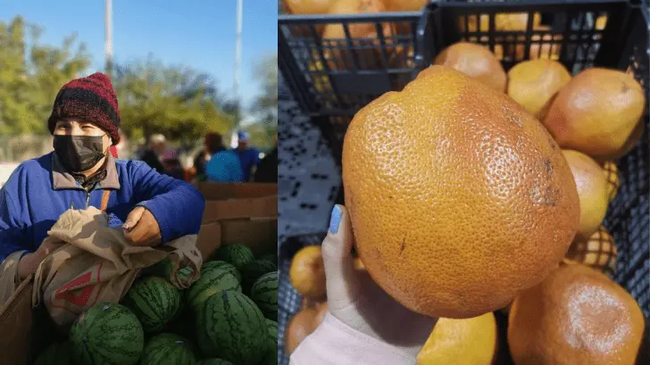El 17% de la producción de frutas y verduras termina en la basura