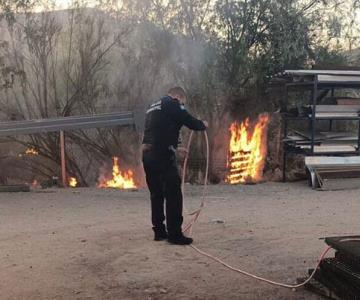 Bomberos de Hermosillo controlan incendio de maleza en el Parque Industrial