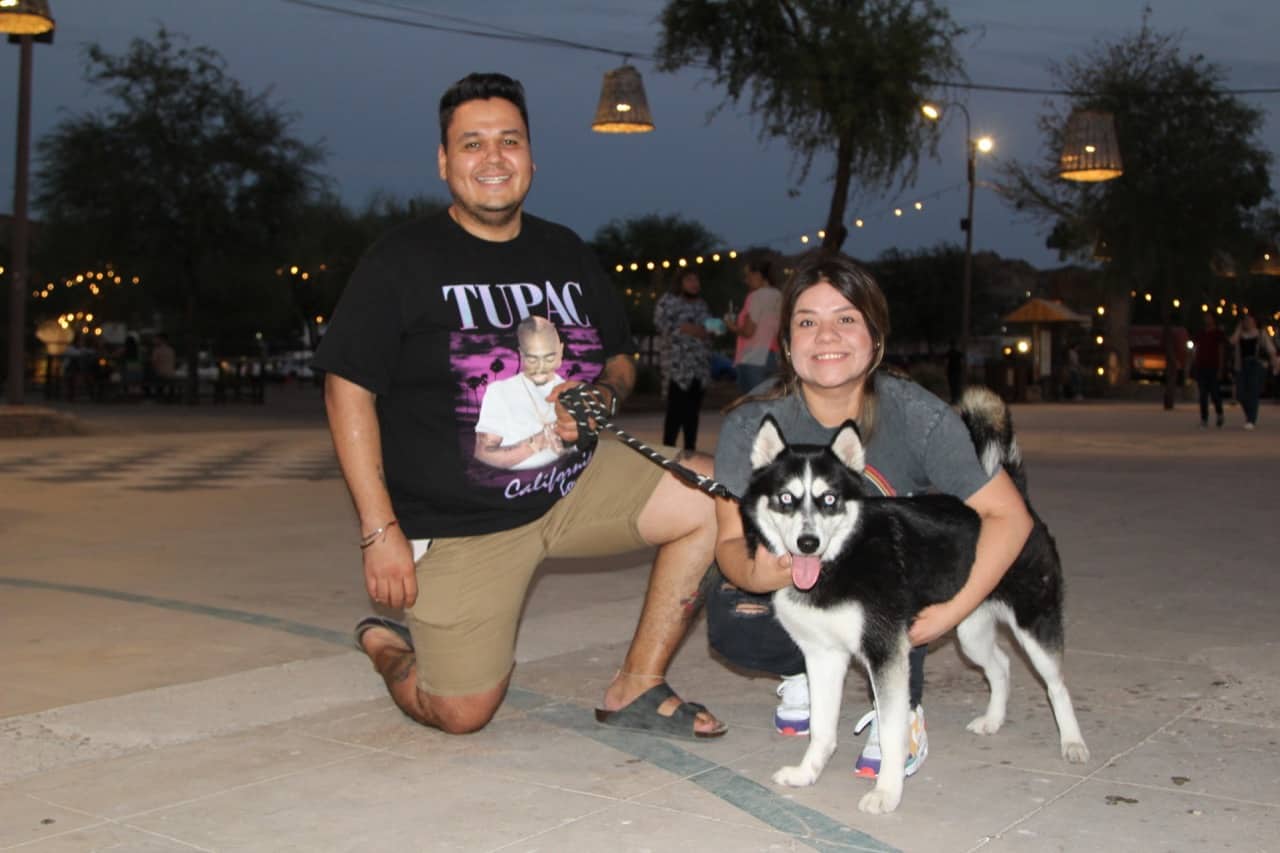 Conviven con sus perritos