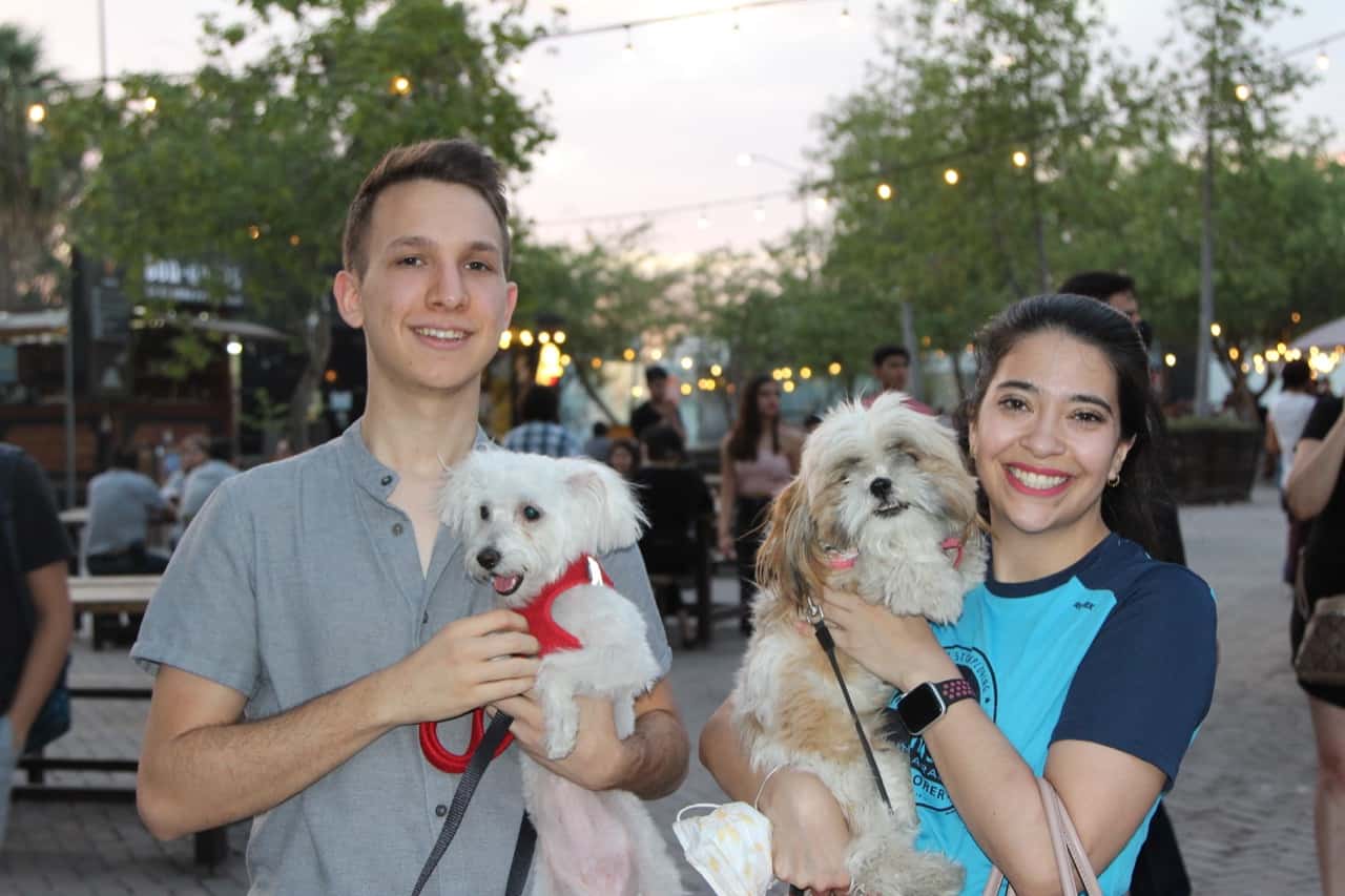 Conviven con sus perritos