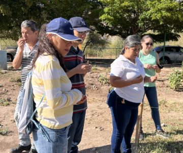 Árboles sagrados que habitan en La Sauceda