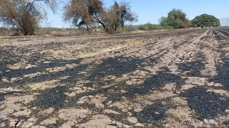 Quema de gavilla sigue causando problemas a cajemenses
