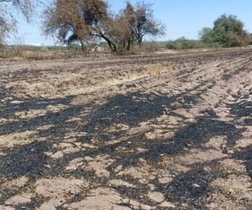 Quema de gavilla sigue causando problemas a cajemenses