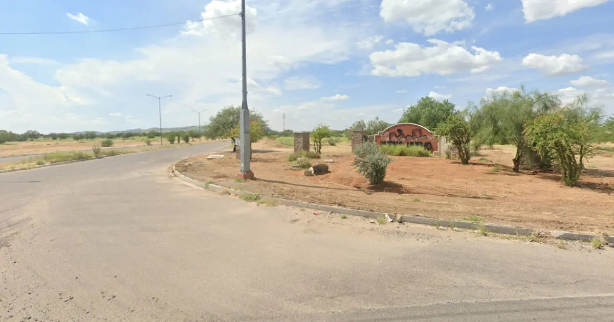 Pueblitos es la zona más necesitada de arboles en Hermosillo