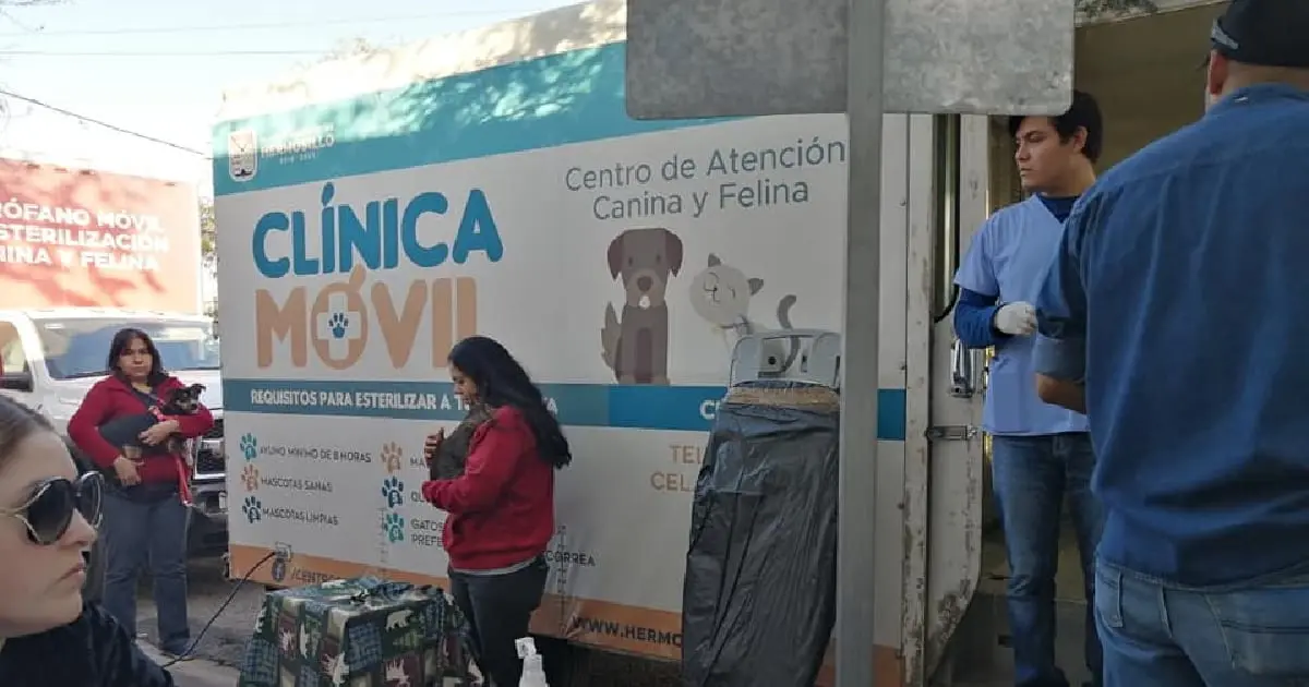 Vandalizan Centro de Atención Canina y Felina