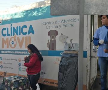 Vandalizan Centro de Atención Canina y Felina