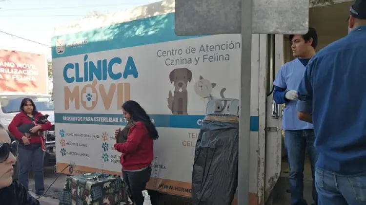 Imagen de Archivo: EXPRESO