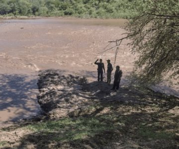 Reanudan búsqueda de Raymundo Navarro, quien fue arrastrado por el Río Mayo