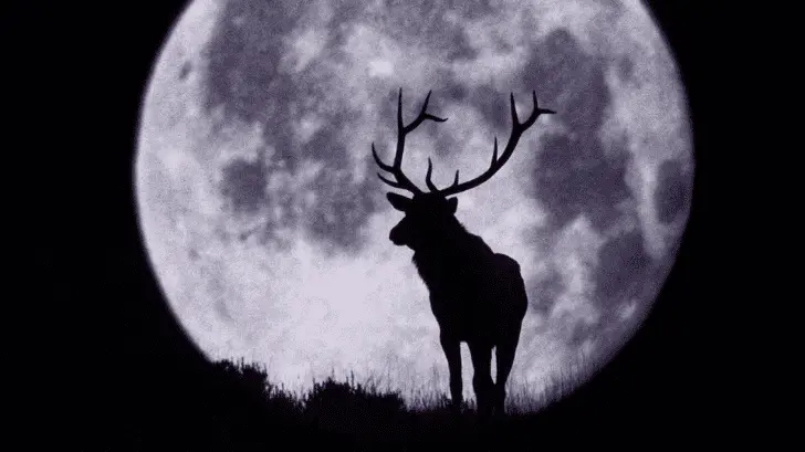 Lo que sabemos de la Luna de Ciervo; cuándo y dónde verla