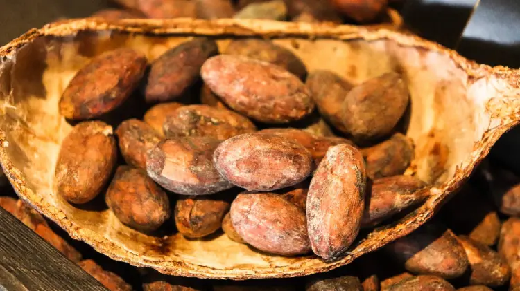 Imagen Ilustrativa Pixabay/EXPRESO