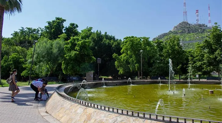 El Parque Madero cuenta con mil 800 árboles: Gil Barraza
