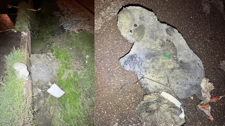 Enorme pato causa problemas en el drenaje de Nogales