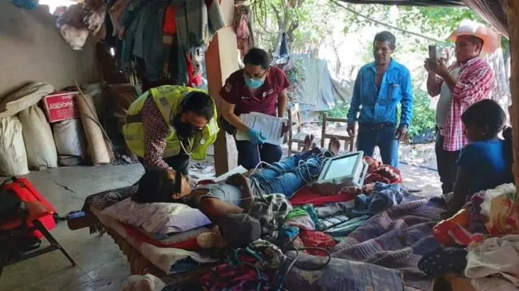 Perdió la fuerza tras picadura de arácnido desconocido