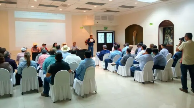 15 de agosto, fecha inicio de siembra primavera-verano 2022