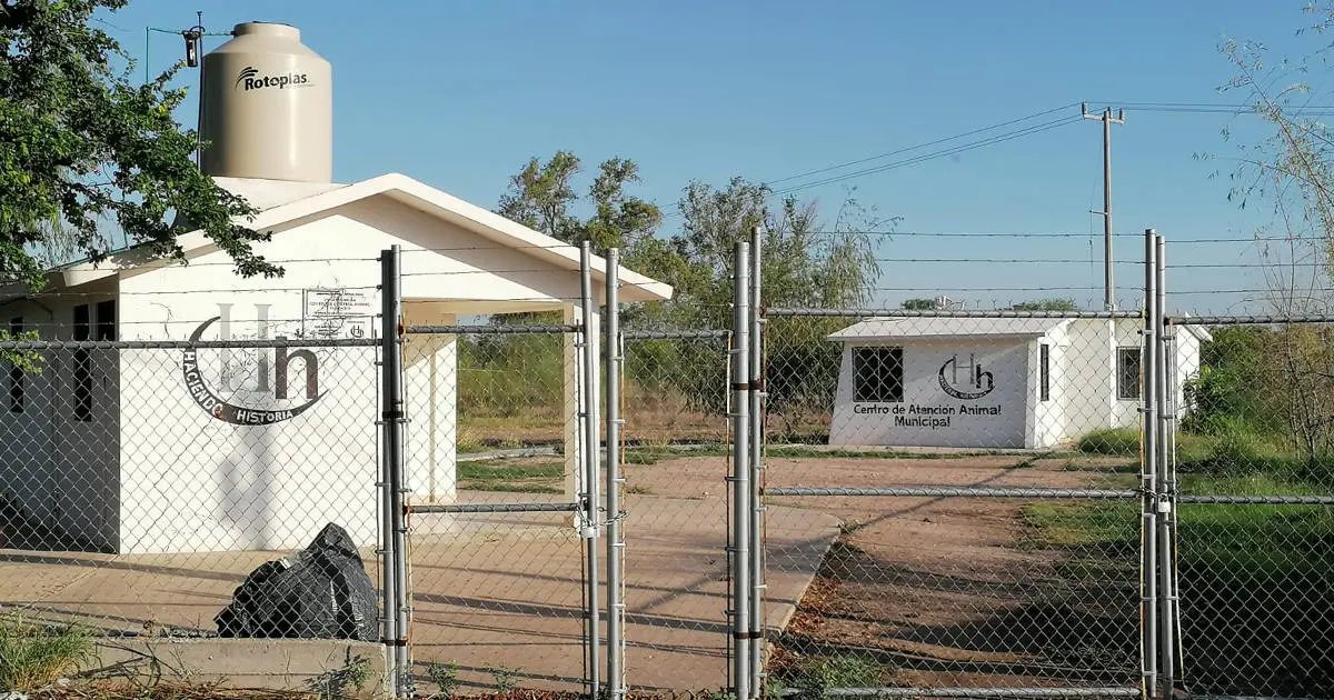 Buscan reubicar el Centro de Atención Animal de Navojoa