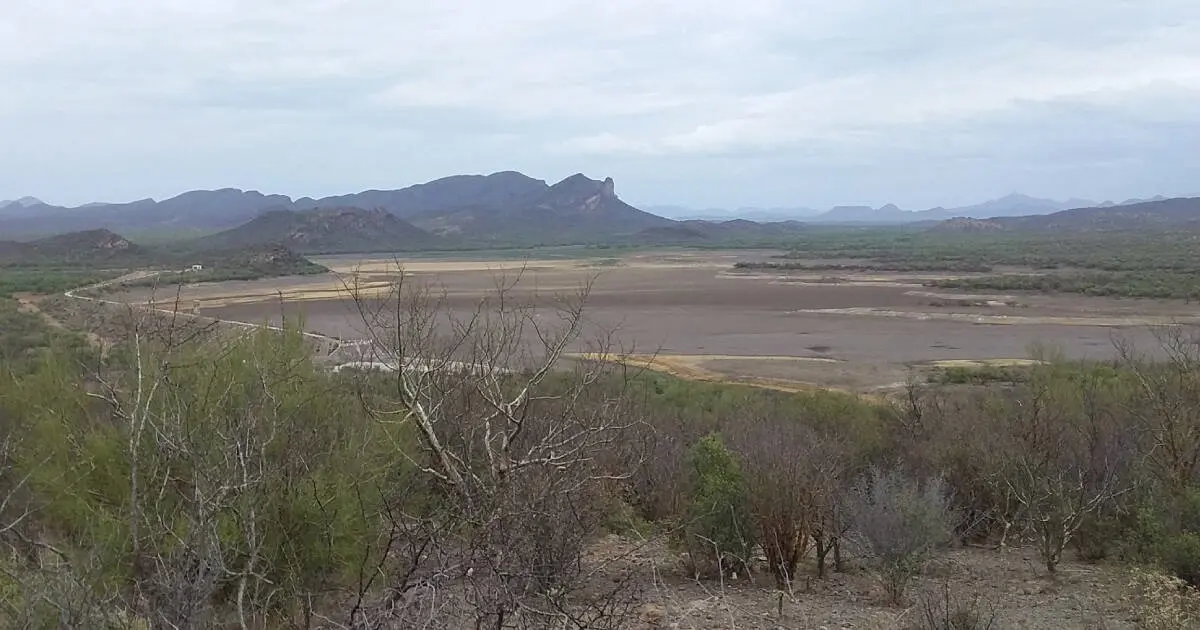 Seca la presa Punta de Agua; siembra de sandia en riesgo