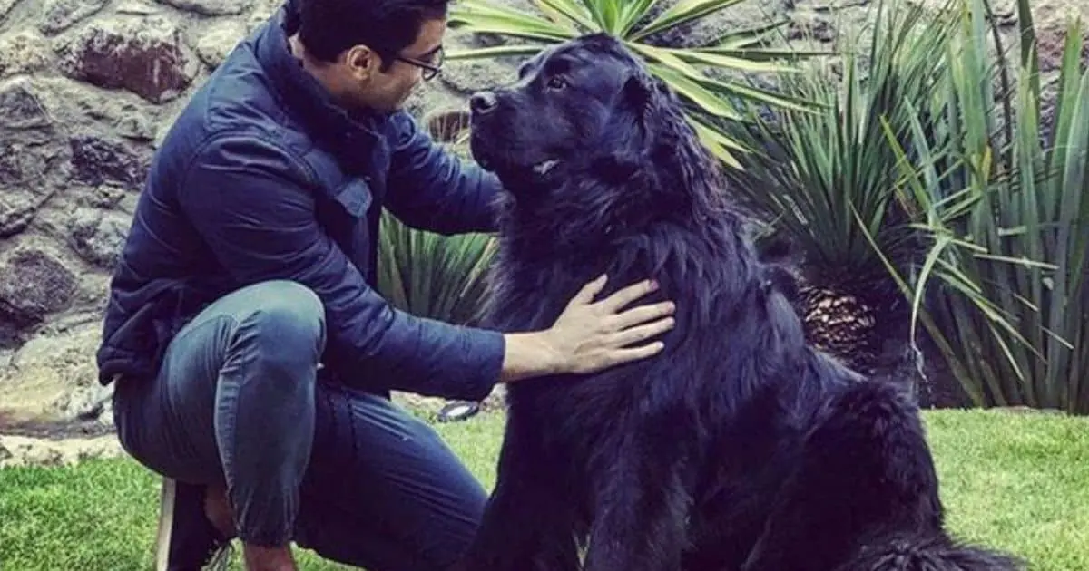 Carlos Rivera lamenta partida de su fiel amigo