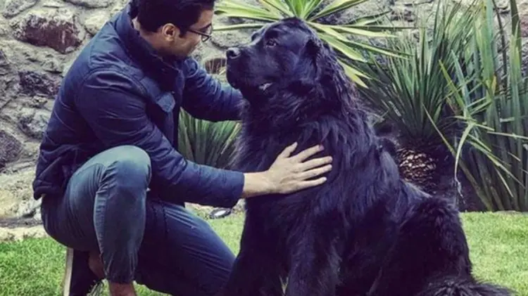 Carlos Rivera y su fiel compañero Bono