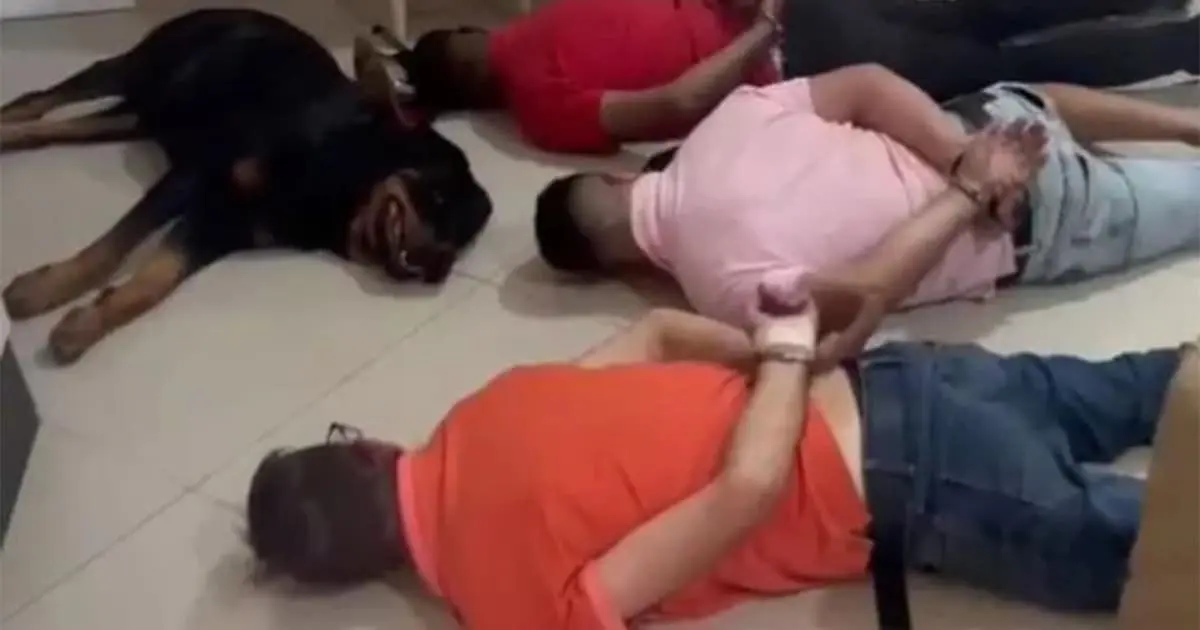 VIDEO | Perro guardián se rinde junto a banda de narcotraficantes