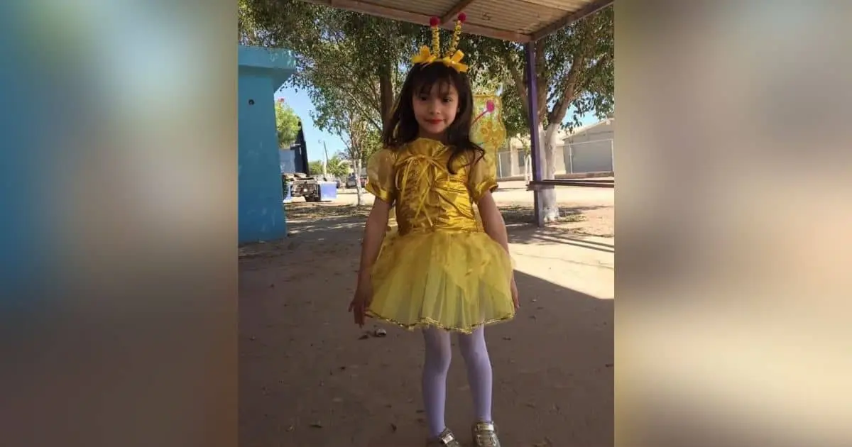 Menor de 5 años con rickettsia requiere donaciones de sangre