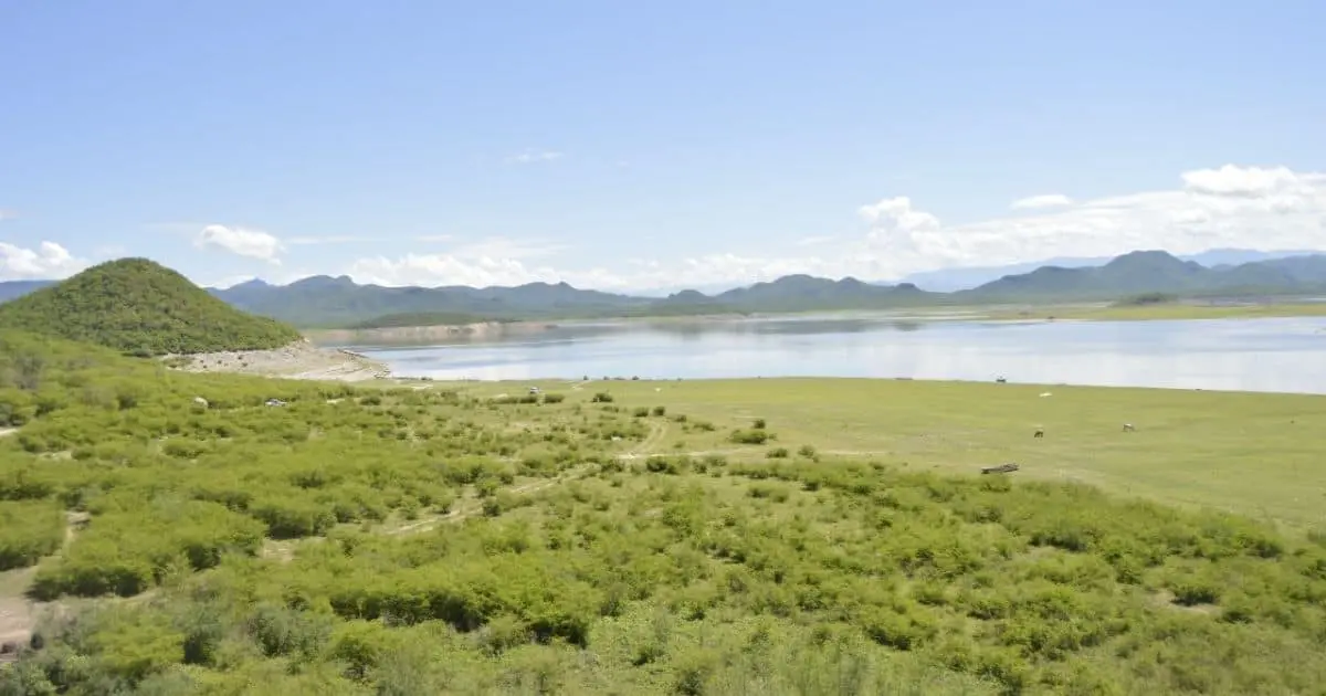 Presa Mocúzari se recupera gracias a las lluvias