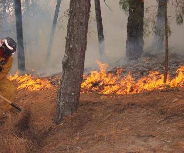 Incendio forestal en Nuevo León daña 15 hectáreas de vegentación