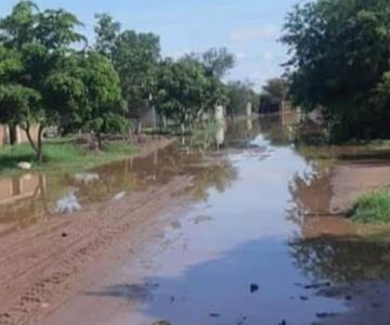 Comunidad de Huatabampo vive entre aguas negras