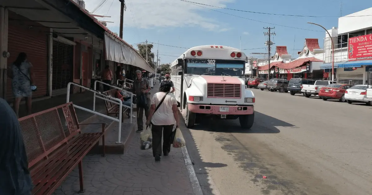 Vigilantes del Transporte en Navojoa piden más camiones