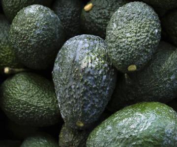 Precios del aguacate y el huevo disparan