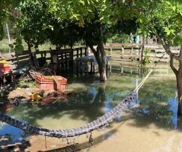 Vecinos de Tetanchopo nadan en aguas negras desde hace 15 días