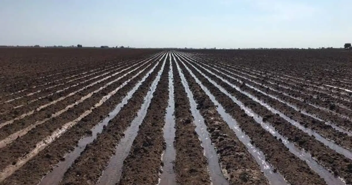 Escasez de lluvias impide inicio del ciclo agrícola en el Valle del Yaqui