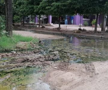 Sin solución a problema de aguas negras, obliga a dejar sus hogares