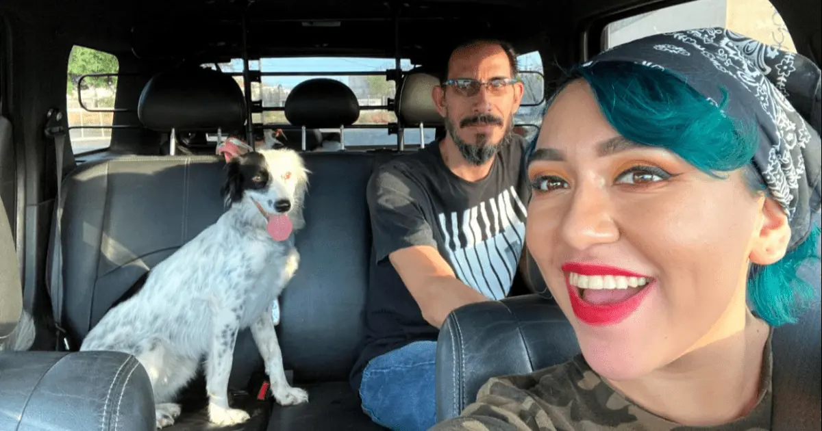 ¿Taxis para mascotas? Esta es la innovadora idea de una hermosillense