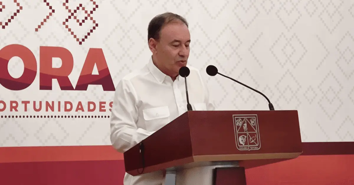 Estado será dueño de empresas logísticas y de exploración de litio