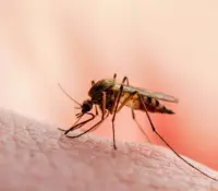 Aumentan casos de dengue en Sonora durante la semana epidemiológica 27