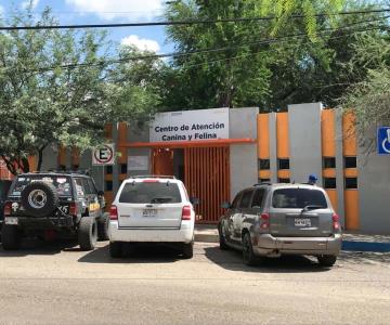 Renuncia titular del Centro de Atención Canina y Felina