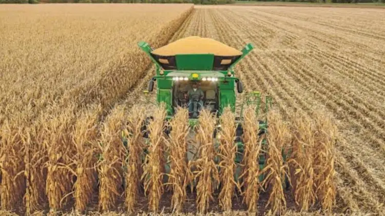 Sonora tuvo un crecimiento de 0.6 por ciento en producción agrícola. (Foto: Especial/EXPRESO)