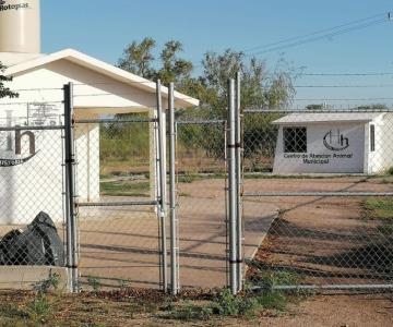 Se meten a robar Centro de Atención Animal en Navojoa