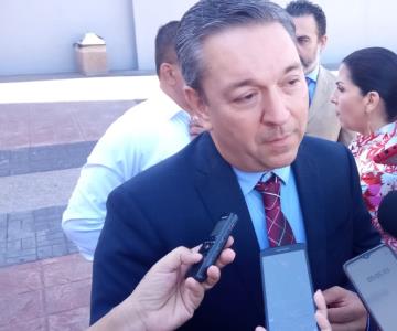 SEC atiende casos de panales en escuelas