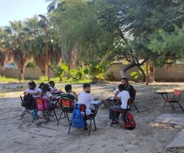 A falta de aires acondicionados, alumnos toman clases bajo un árbol