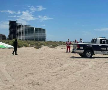 Mueren 2 personas tras caer ultraligero en Puerto Peñasco