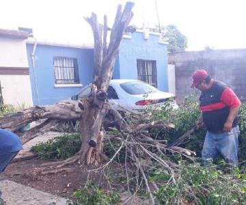 Huracán Kay deja aguacero en Cajeme