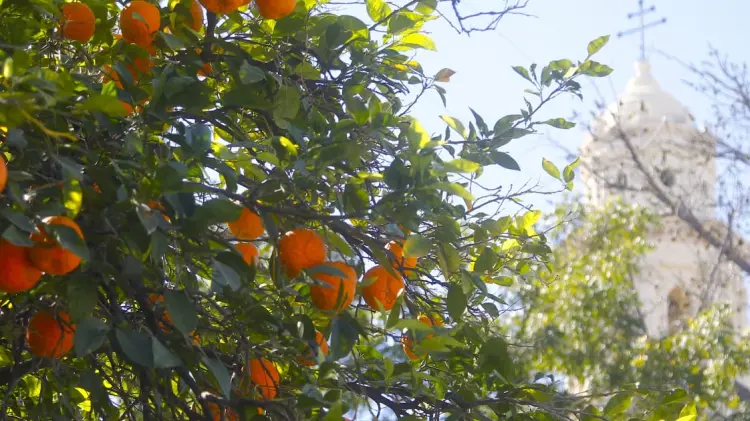 Jesús Ballesteros/EXPRESO