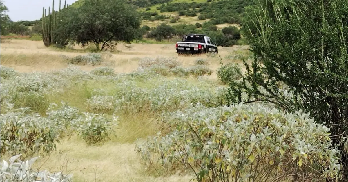 Colectivo de búsqueda encuentra tres cuerpos entre Ímuris y Hermosillo