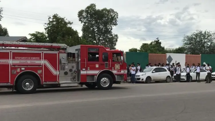 Abejas usan escuelas de refugio tras abandono por la pandemia