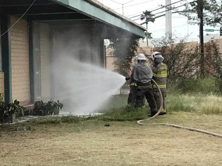 Guardia es atacado por enjambre de abejas en escuela de Hermosillo