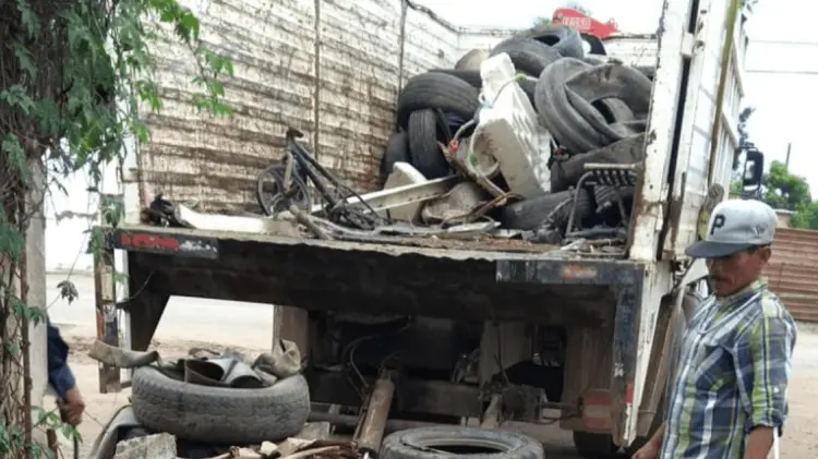 Refuerzan acciones contra el dengue en Ciudad Obregón