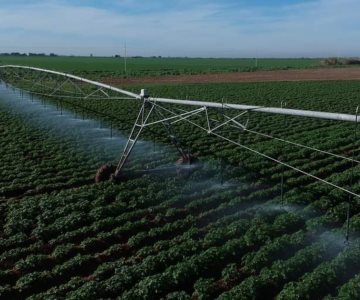 Establecen acuerdos para el ciclo agrícola 2022-2023