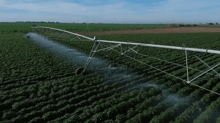 Establecen acuerdos para el ciclo agrícola 2022-2023